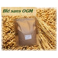 Weizen ohne OGM - 10 kg